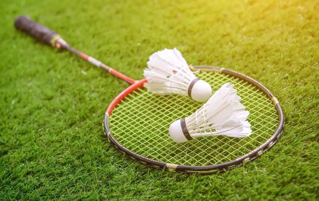 在全球羽毛 在全球羽毛