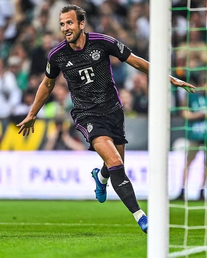 这些都是顶 这些都是顶